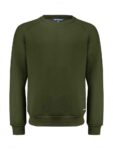 ivy-groen