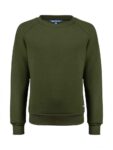 ivy-groen