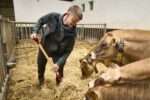 Mascot landbouw werkkleding in Deinze